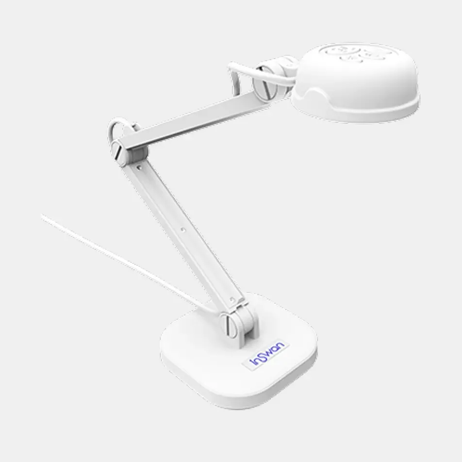 Inswan INS-1